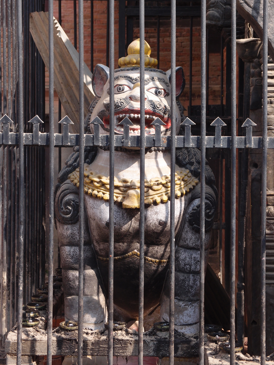 2018-01-19 11 Uhr - Patan (Foto, Video) 